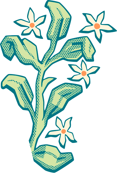 de3e7024f6a48ca0aecf897453122ab8